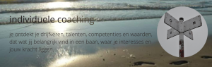 individueel