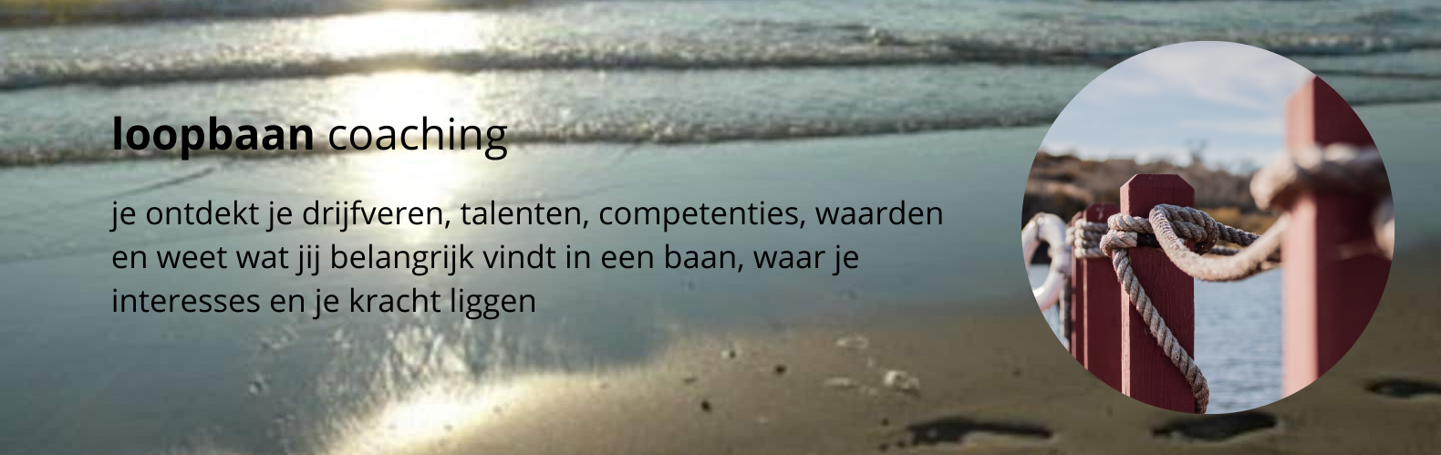 loopbaan coaching page grote cirkel loopbaan coaching